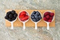 Assorted fresh berries in taster dishes Royalty Free Stock Photo
