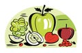 Assorted fresh fruits illustration, green apple, grapes, and red apple. Half and whole fruits, healthy food concept