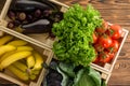 Assorted fresh organic vegetables in wooden boxes