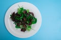 Assorted fresh salad vegetables on a plate on a blue background. Healthy, vegetarian food, raw food concept Royalty Free Stock Photo