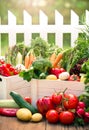 Assorted fresh vegetables in the crates