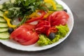 Assorted fresh vegetables on a plate .Dish of cucumbers, paprika, tomato and basil with parsley Royalty Free Stock Photo