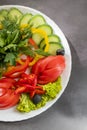 Assorted fresh vegetables on a plate .Dish of cucumbers, paprika, tomato and basil with parsley Royalty Free Stock Photo