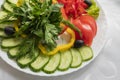 Assorted fresh vegetables on a plate .Dish of cucumbers, paprika, tomato and basil with parsley Royalty Free Stock Photo