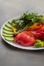 Assorted fresh vegetables on a plate .Dish of cucumbers, paprika, tomato and basil with parsley Royalty Free Stock Photo