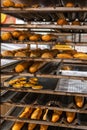 Assorted freshly baked pastry on cooling rack at confectionery factory