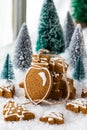 Assorted gingerbread cookie shapes with a festive tree light shape in front.