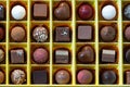Assorted Gourmet Chocolates in Yellow Box Royalty Free Stock Photo
