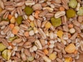Assorted grains and pulses mix full background, top view. Winter food includes split peas, red and yellow lentils, pearl Royalty Free Stock Photo