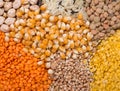 Assorted grains Royalty Free Stock Photo