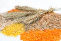 Assorted grains with wheat ears Royalty Free Stock Photo