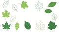 Assorted Green Leaf Illustrations on White Background Royalty Free Stock Photo
