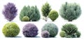 Assorted Greenery Bushes and Shrubs Isolated on White Background with Soft Shadows Royalty Free Stock Photo