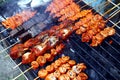 Assorted grilled pork and chicken innards barbecue at a street food stall