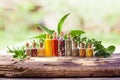 Assorted ground spices in bottles on wooden surface Royalty Free Stock Photo