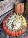 Assorted halloween pumpkins