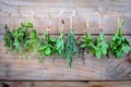 Assorted hanging herbs ,parsley ,oregano,mint,sage,rosemary,sweet basil,holy basil, and thyme for seasoning concept on rustic