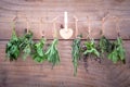 Assorted hanging herbs ,parsley ,oregano,mint,sage,rosemary,sweet basil,holy basil, and thyme for seasoning concept on rustic Royalty Free Stock Photo