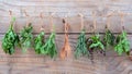 Assorted hanging herbs ,parsley ,oregano,mint,sage,rosemary,sweet basil,holy basil, and thyme for seasoning concept on rustic Royalty Free Stock Photo