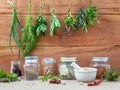 Assorted hanging herbs ,parsley ,oregano,sage,rosemary,sweet basil,dill,spring onion and set up with dry and fresh Royalty Free Stock Photo