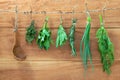 Assorted hanging herbs ,parsley ,sage,rosemary,spring onion and