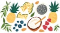 Assorted healthy foods and fruits illustration. AI Generated