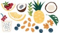 Assorted healthy foods and fruits illustration. AI Generated