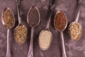 Assorted healthy seeds - sunflower, flax, chia, sesame, hemp, dill, in vintage spoons on a gray background. Royalty Free Stock Photo