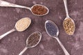 Assorted healthy seeds - sunflower, flax, chia, sesame, hemp, dill, in vintage spoons on a gray background. Royalty Free Stock Photo