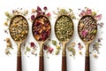 Assorted Herbal Tea Blends In Wooden Spoons On Clean White Background Royalty Free Stock Photo