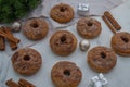 Assorted home made gingerbread donuts with cinnamon sugar Royalty Free Stock Photo