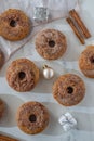 Assorted home made gingerbread donuts with cinnamon sugar Royalty Free Stock Photo