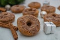 Assorted home made gingerbread donuts with cinnamon sugar Royalty Free Stock Photo