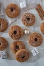 Assorted home made gingerbread donuts with cinnamon sugar Royalty Free Stock Photo