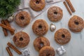 Assorted home made gingerbread donuts with cinnamon sugar Royalty Free Stock Photo