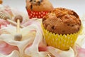 Assorted with homemade cupcakes with raisins and chocolate on white background. Muffins Royalty Free Stock Photo