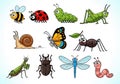 Assorted insects and bugs illustration Royalty Free Stock Photo