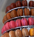 Assorted macaroon tower, french delicacy Royalty Free Stock Photo