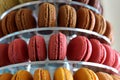 Assorted macaroon tower, french delicacy.