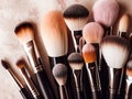 Assorted makeup brushes with copy space, beauty artist workspace, bunch of different brushes on blurred background