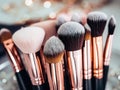 Assorted makeup brushes with copy space, beauty artist workspace, bunch of different brushes on blurred background