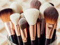 Assorted makeup brushes with copy space, beauty artist workspace, bunch of different brushes on blurred background