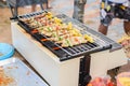 Assorted meat from chicken and pork and various vegetables on barbecue grill cooked summer family dinner Royalty Free Stock Photo