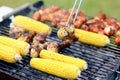 Assorted meat and vegetables on barbecue gril Royalty Free Stock Photo