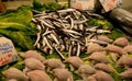 Assorted mediterannean fish with prize tags at fishmonger`s market stall Royalty Free Stock Photo