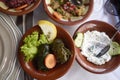 Assorted middle east mezze