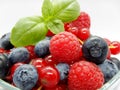 Berries in bowl, assorted mix of fruits, raspberry, red currant, blueberry against a white background Royalty Free Stock Photo