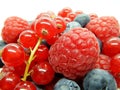 Berries in bowl, assorted mix of fruits, raspberry, red currant, blueberry against a white background Royalty Free Stock Photo