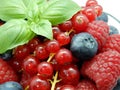 Berries in bowl, assorted mix of fruits, raspberry, red currant, blueberry against a white background Royalty Free Stock Photo