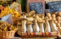 Assorted mushrooms on sale in Spanish market stall.